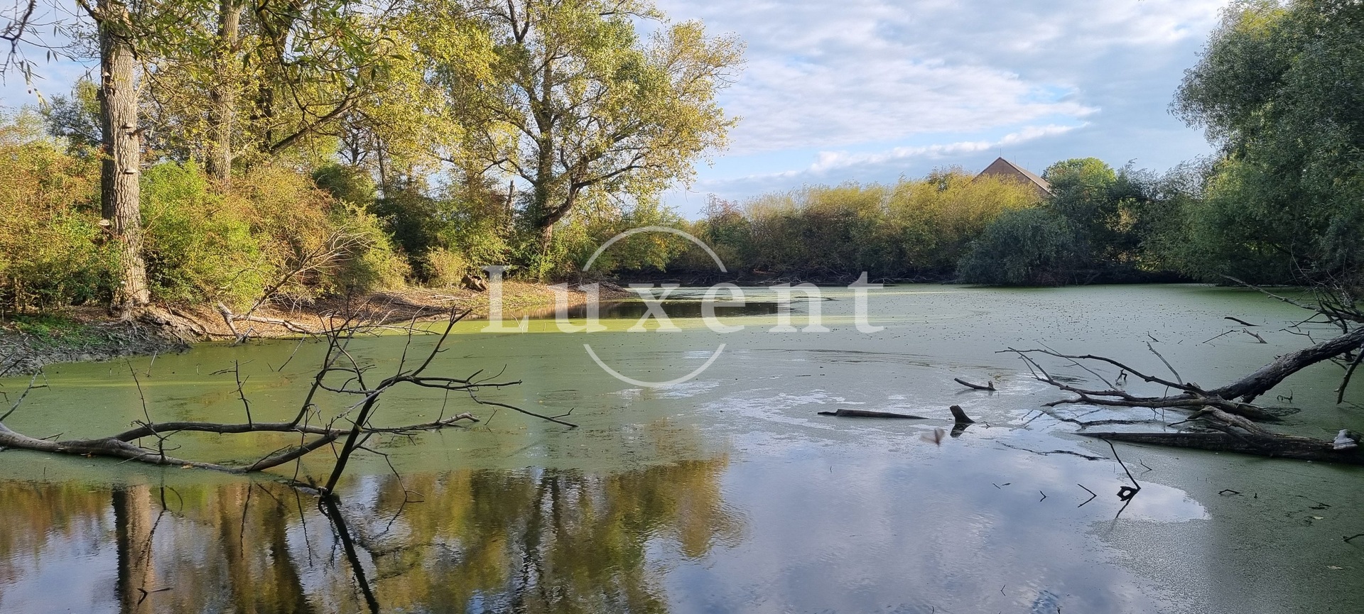 Prodej zemědělského objektu Běrunice 16 900 000 Kč, foto 2