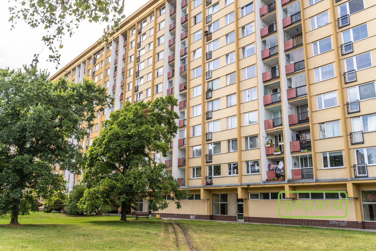 dům