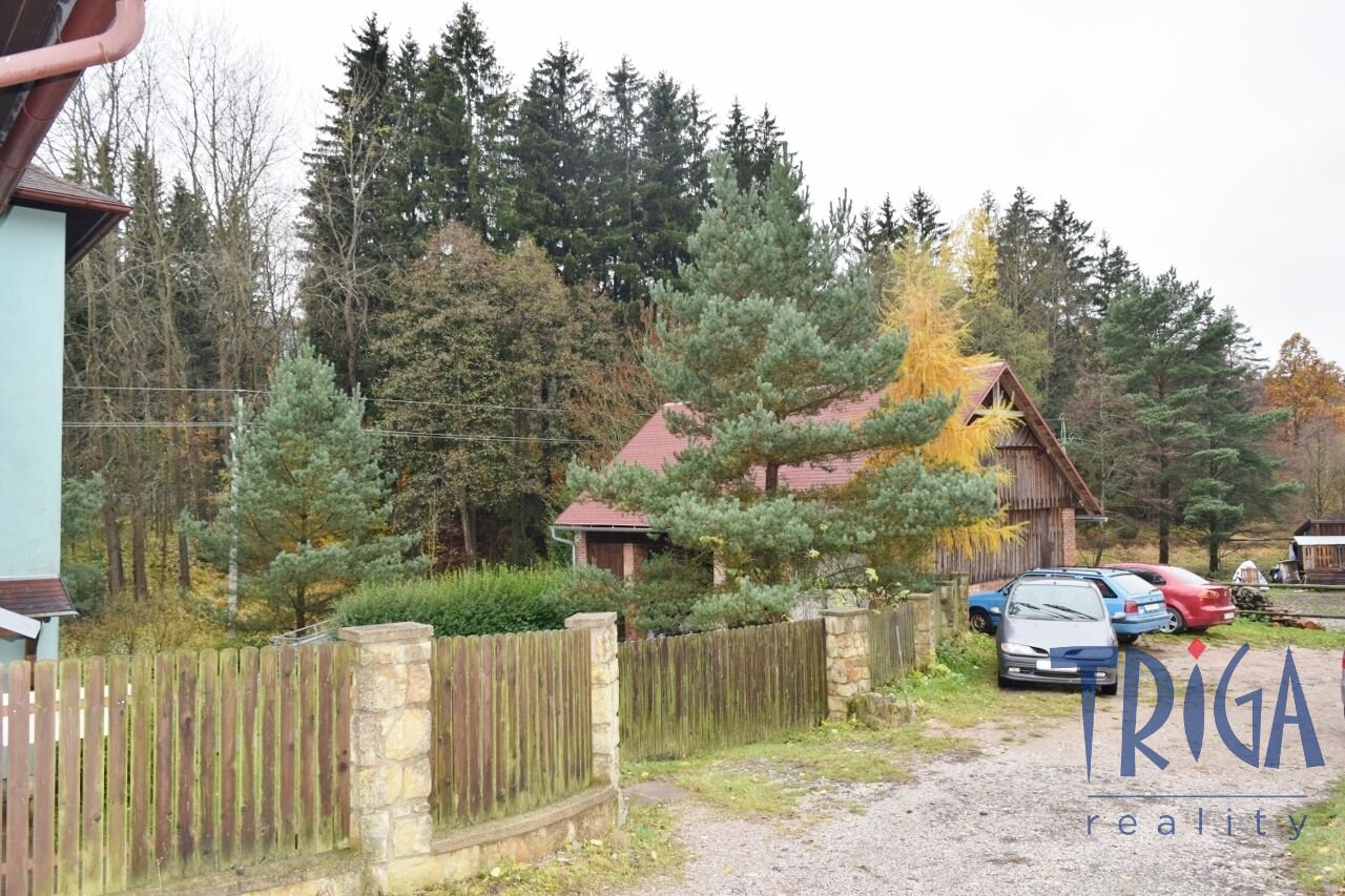 Prodej rodinného domu, 420 m² Borovnička (okres Trutnov), obrázek 23