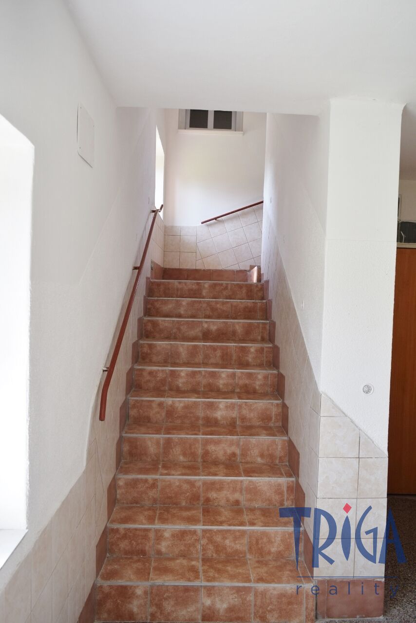 Pronájem bytu 2+1 Dvůr Králové nad Labem 12 500 Kč za měsíc, foto 16