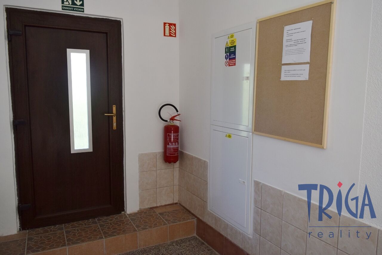 Pronájem bytu 2+1 Dvůr Králové nad Labem 12 500 Kč za měsíc, foto 15