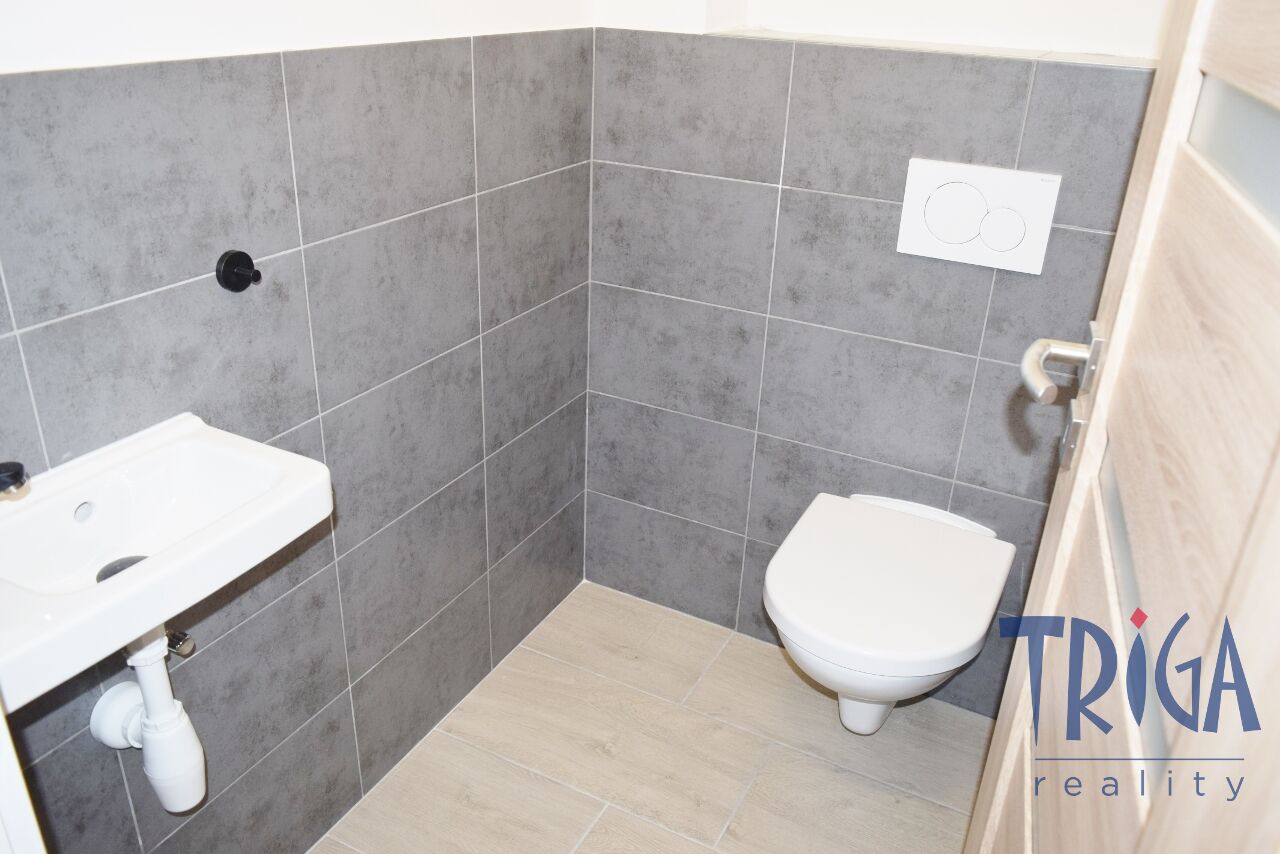 Pronájem bytu 2+1 Dvůr Králové nad Labem 12 500 Kč za měsíc, foto 12