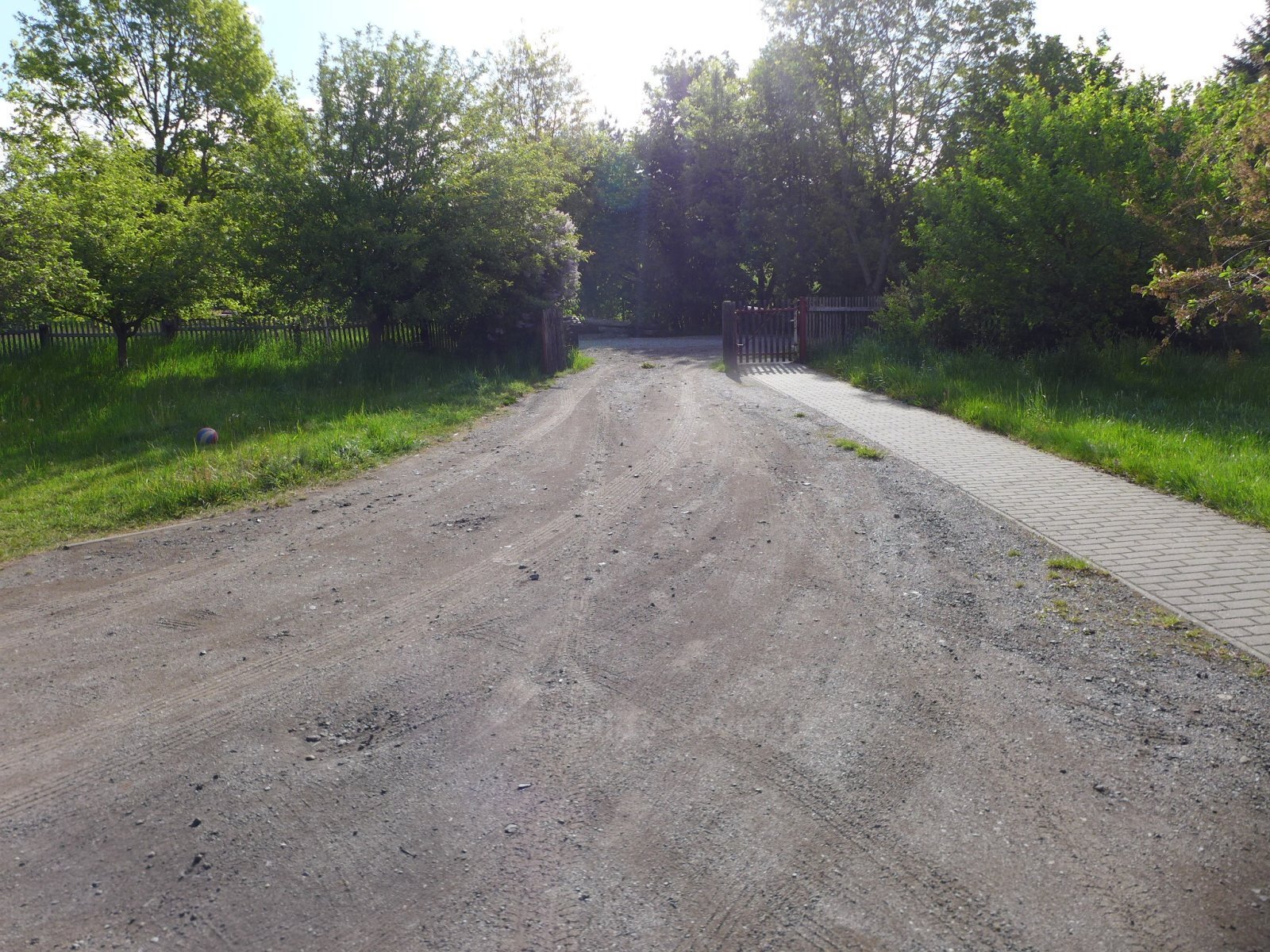 P1120569.JPG