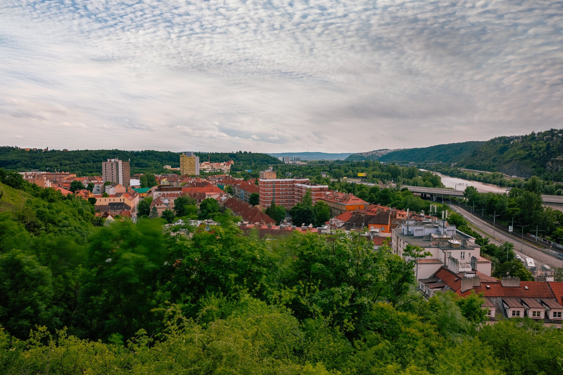 zit-branik-250604-zit-branik-vyber-hq-0015-1ff6ac