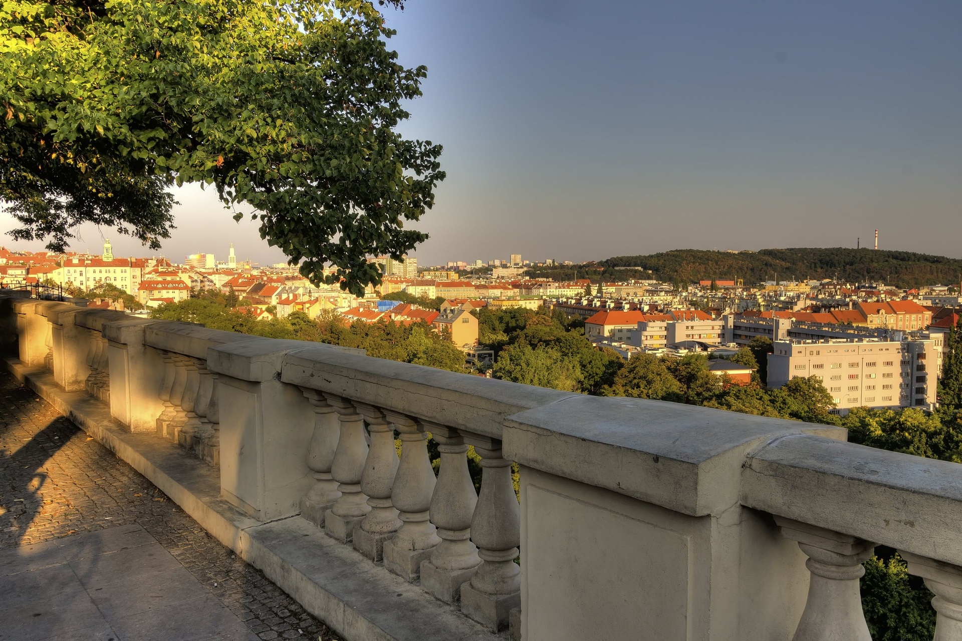 maroldka-shutterstock-355945049-min-23fb90