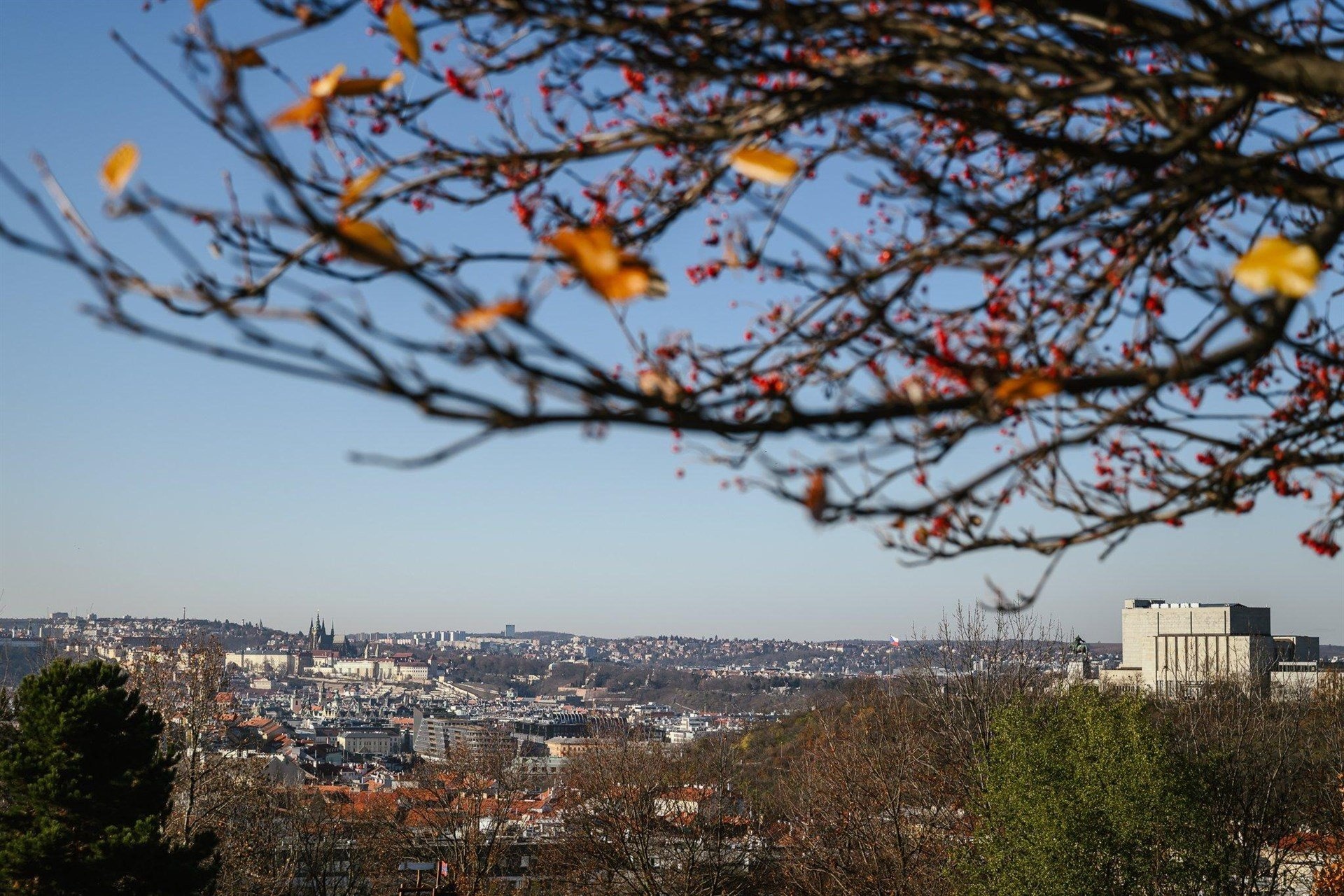 Prostorný byt 2+kk na Žižkově
