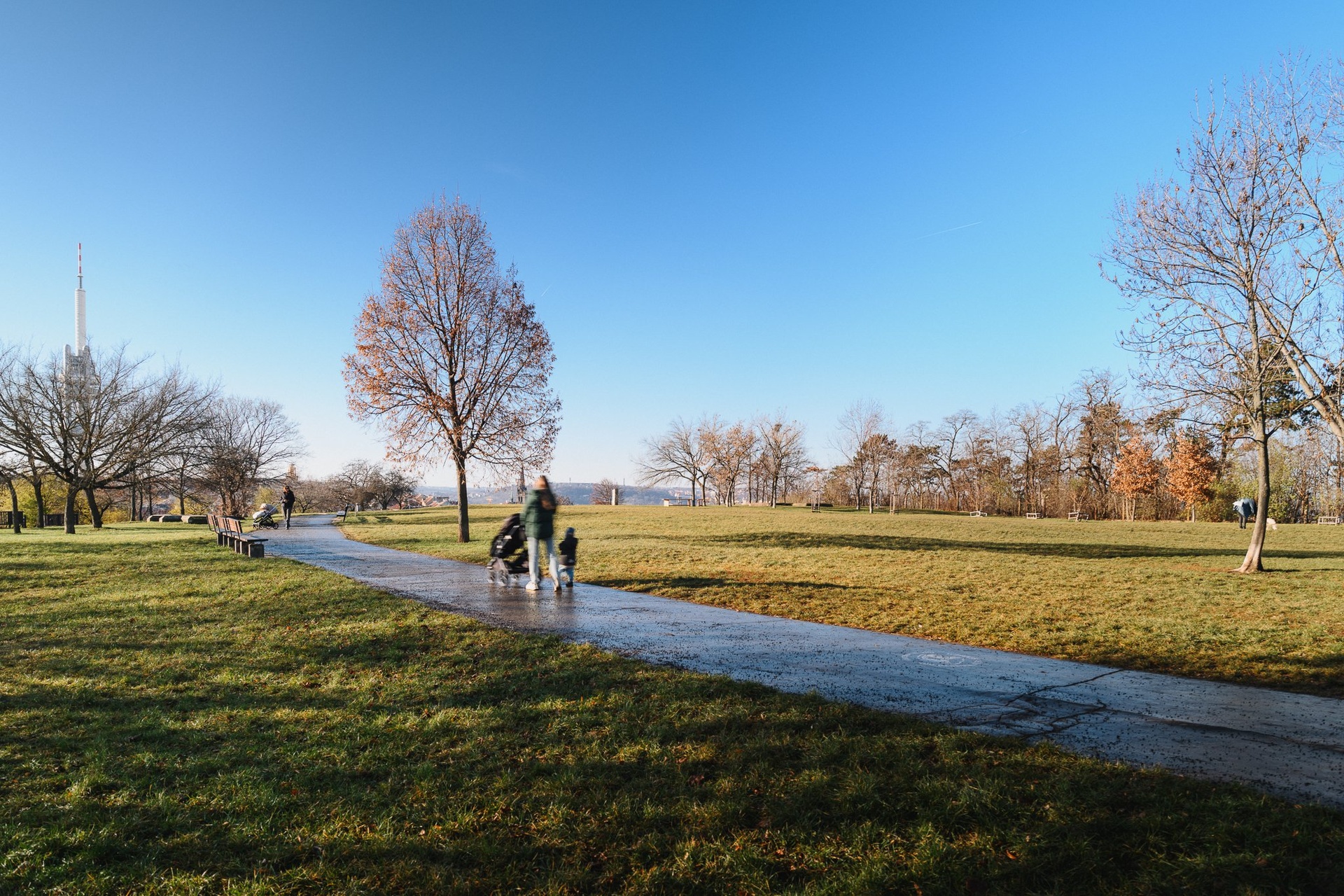 zelivskeho-3-003-lokalita-zelivskeho-social-2048px