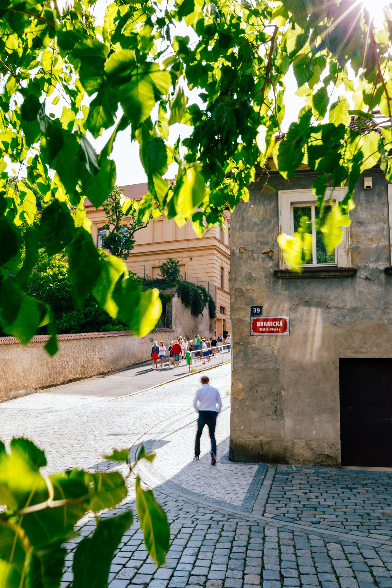 zit-branik-250604-zit-branik-vyber-hq-0012-4a4a2f