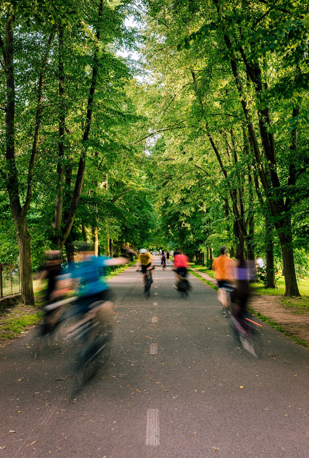 zit-branik-250604-zit-branik-vyber-hq-0020-d50789