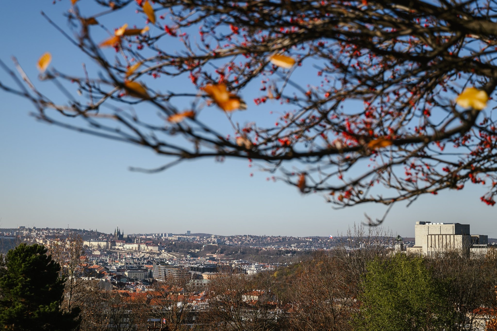 zelivskeho-3-006-lokalita-zelivskeho-social-2048px-9c4b36