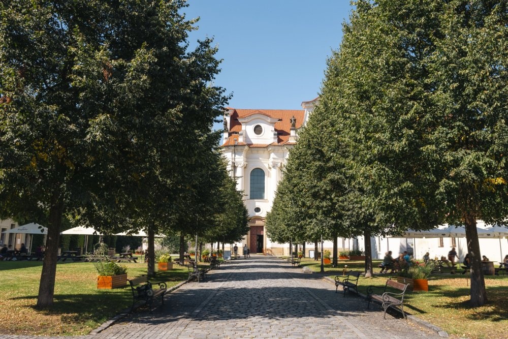 Pod Drinopolem | by PSN