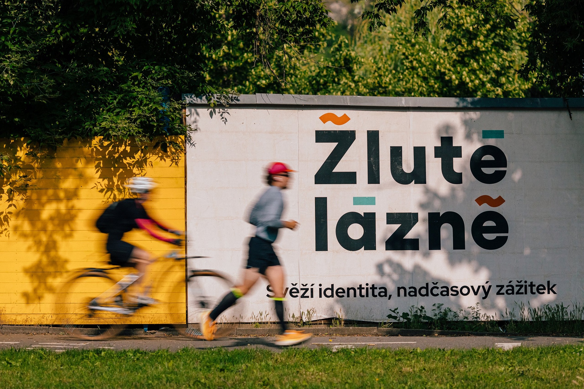 zit-branik-250604-zit-branik-vyber-hq-0022-a7aa58