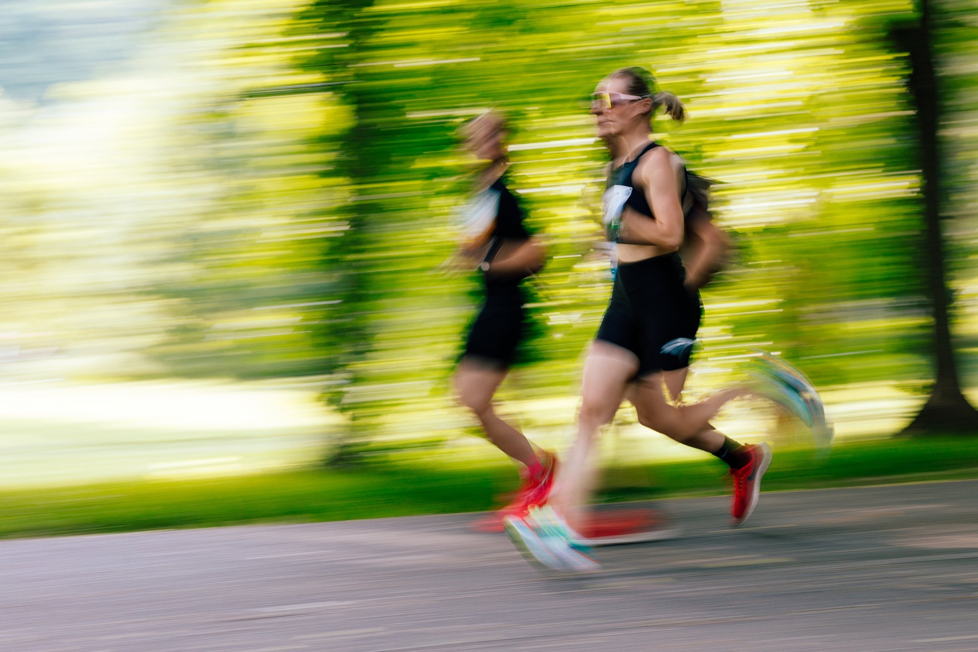 zit-branik-250604-zit-branik-vyber-hq-0018-5e91d4