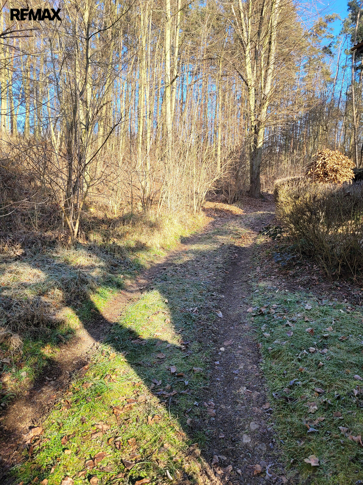 Příjezdová cesta.