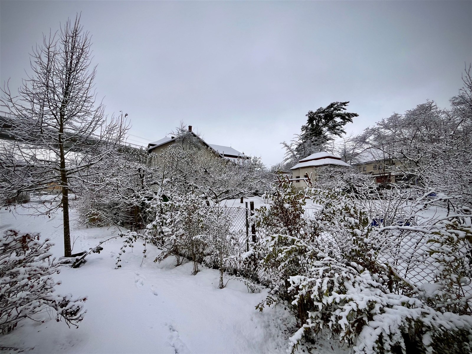 Byt, garáže, nebytové prostory, pozemek - Jihlava 