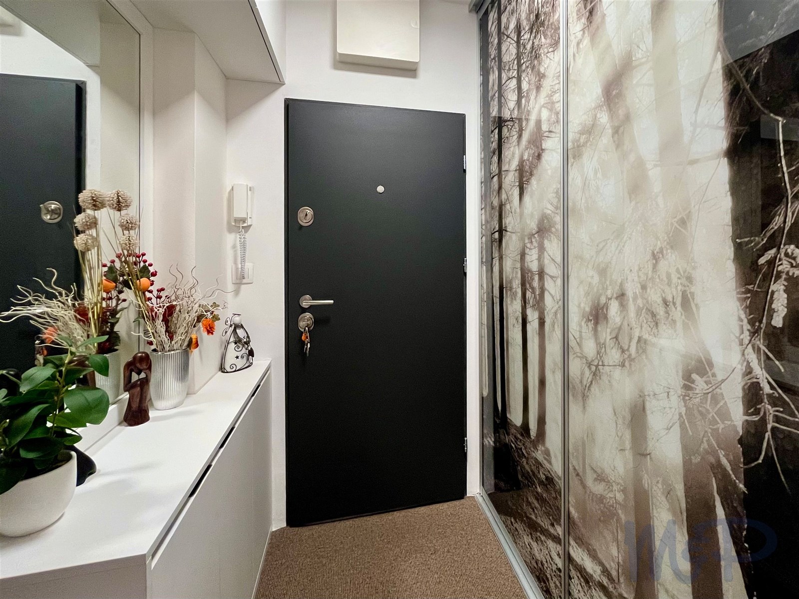 Byt 3+kk s garážovým stáním v Jihlavě (PŘEDSÍŇ - VSTUPNÍ ČÁST)