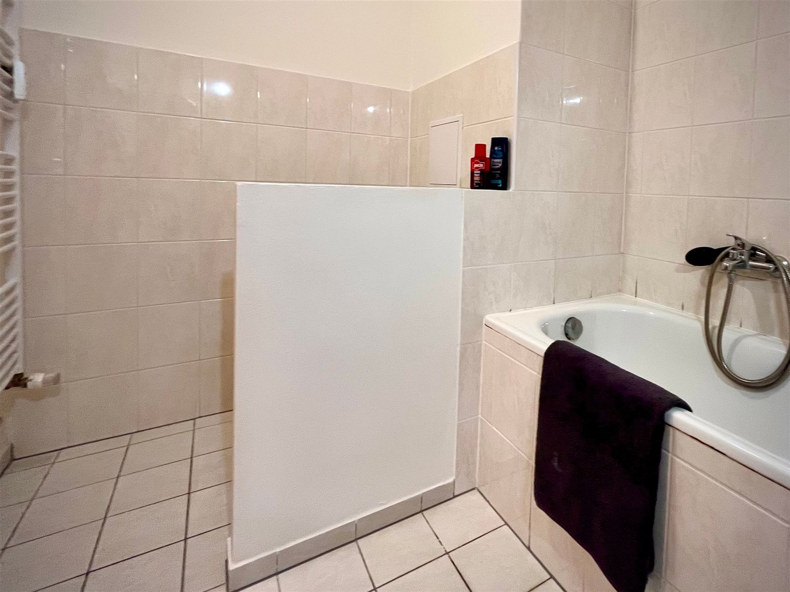 Byt 1+kk v Jihlavě (DETAIL KOUPELNY)