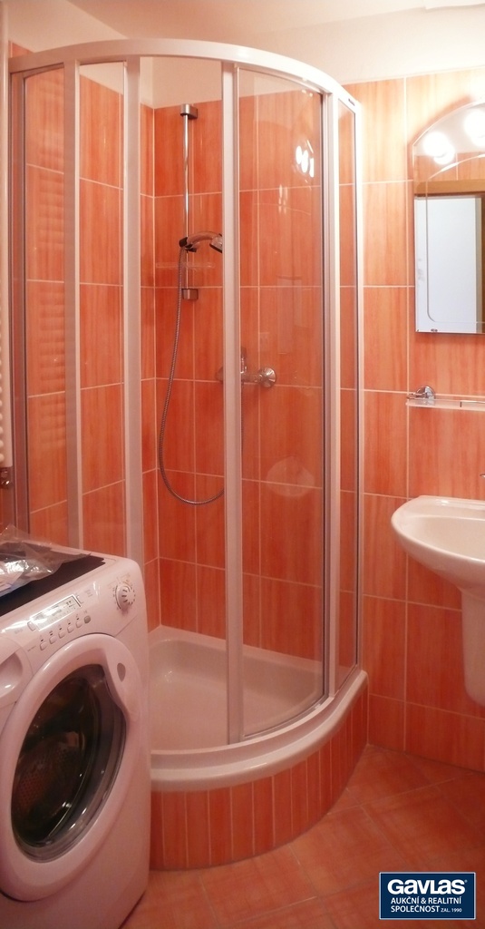 koupelna - sprcha a pračka