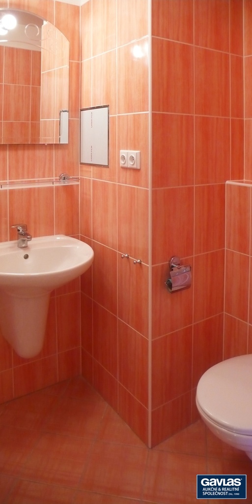 koupelna - umyvadlo a WC