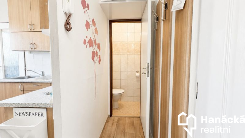 1+1 k pronájmu + 2 sklepy, Jílová, Olomouc