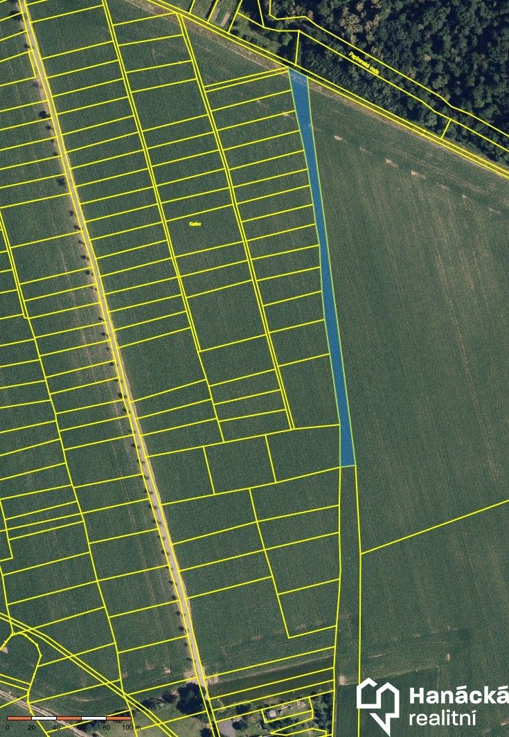 Prodej orné půdy v k.ú. Litovel, 4.912 m2 