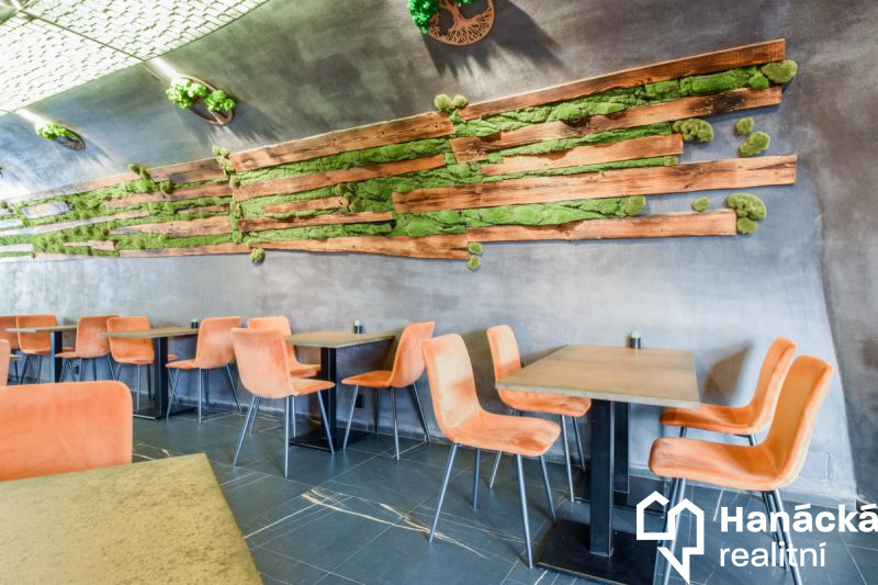 Zrekonstruovaná restaurace 200m2, ul. Lafayettova, Olomouc