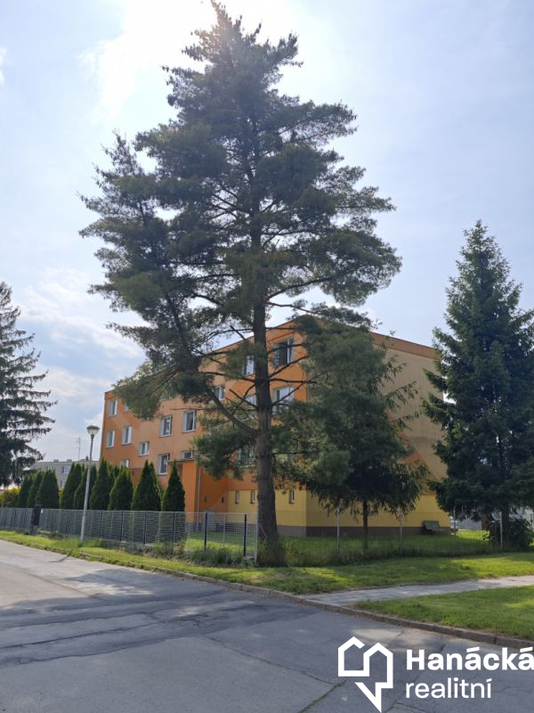 Pronájem hezkého bytu 3+1 po rekonstrukci ve Štěpánově