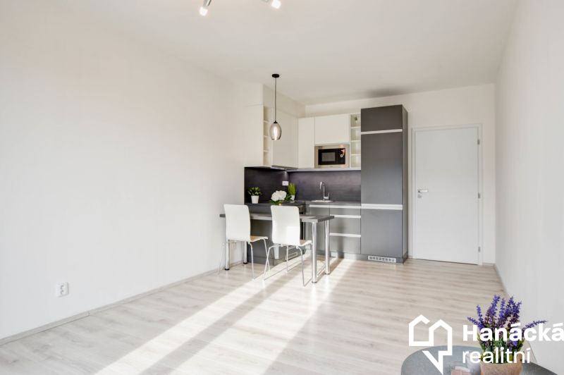 Pronájem cihlového bytu 1+kk v Olomouci, ul. Věry 