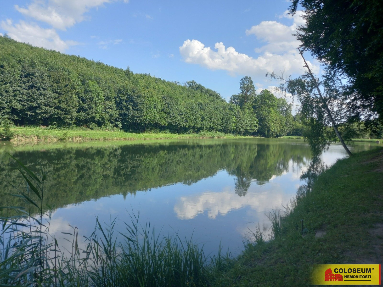 Okolí pozemku - Lovčice - prodej pozemku