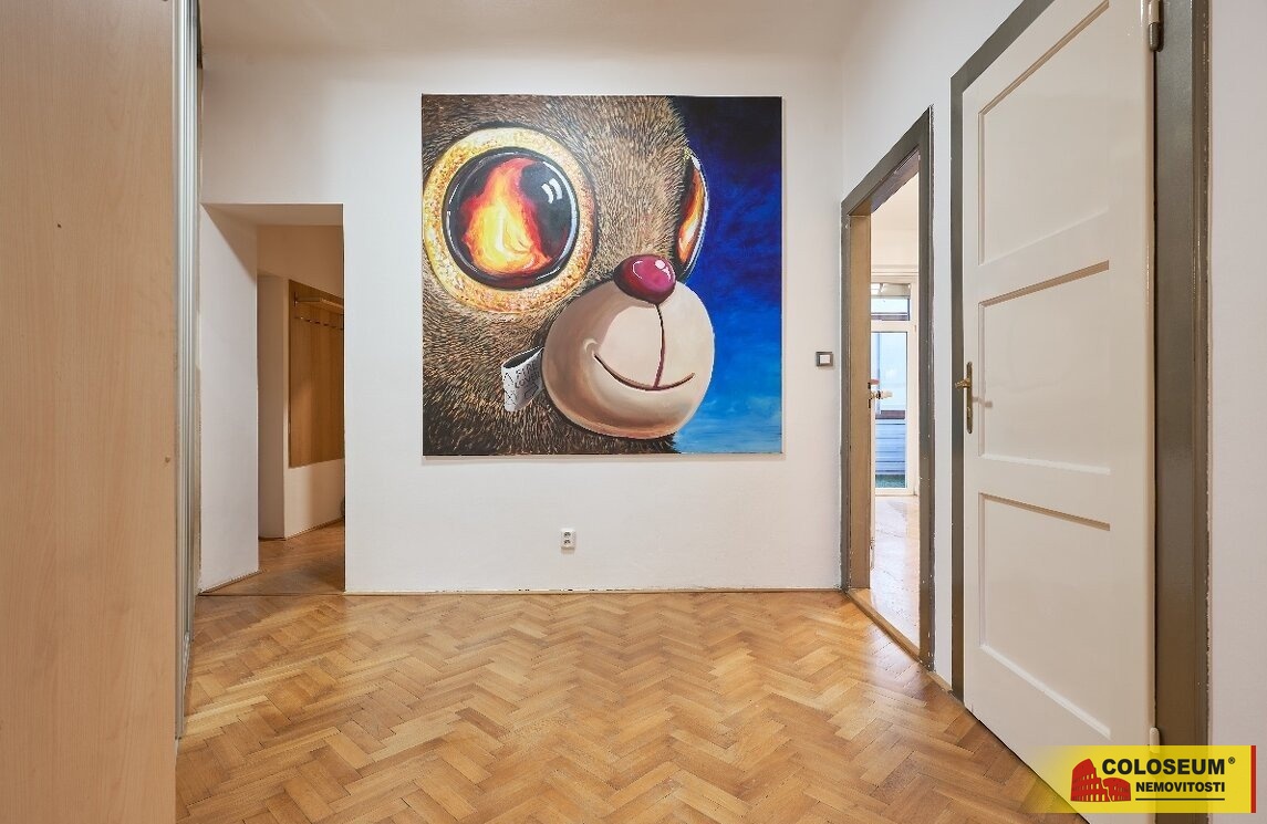 Chodba - Královo Pole - pronájem bytu 3+kk