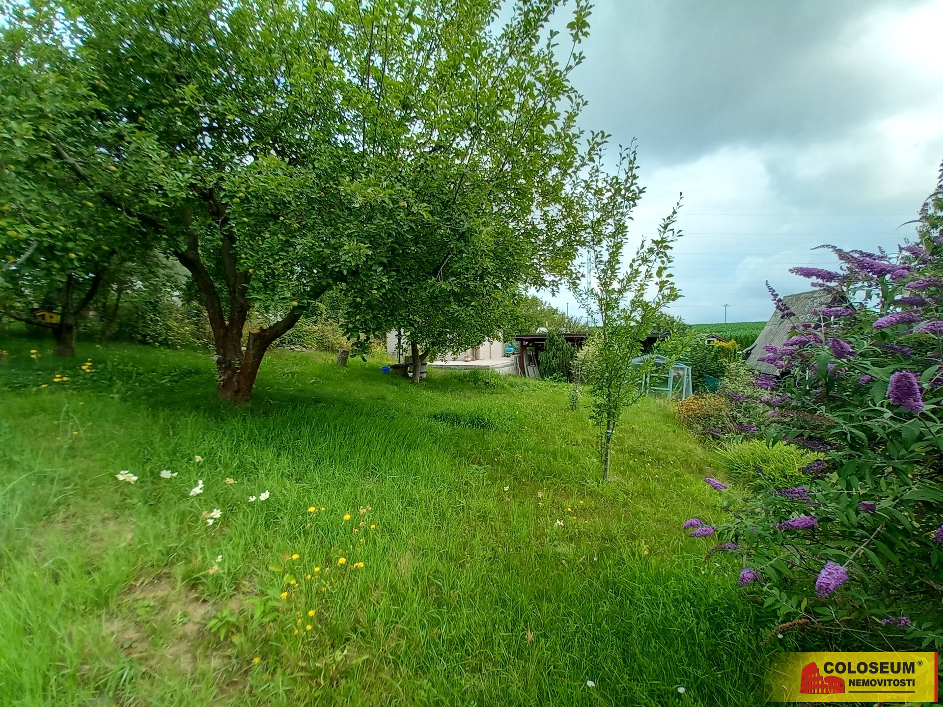 Zahrada – Moravská Třebová – prodej zahrady