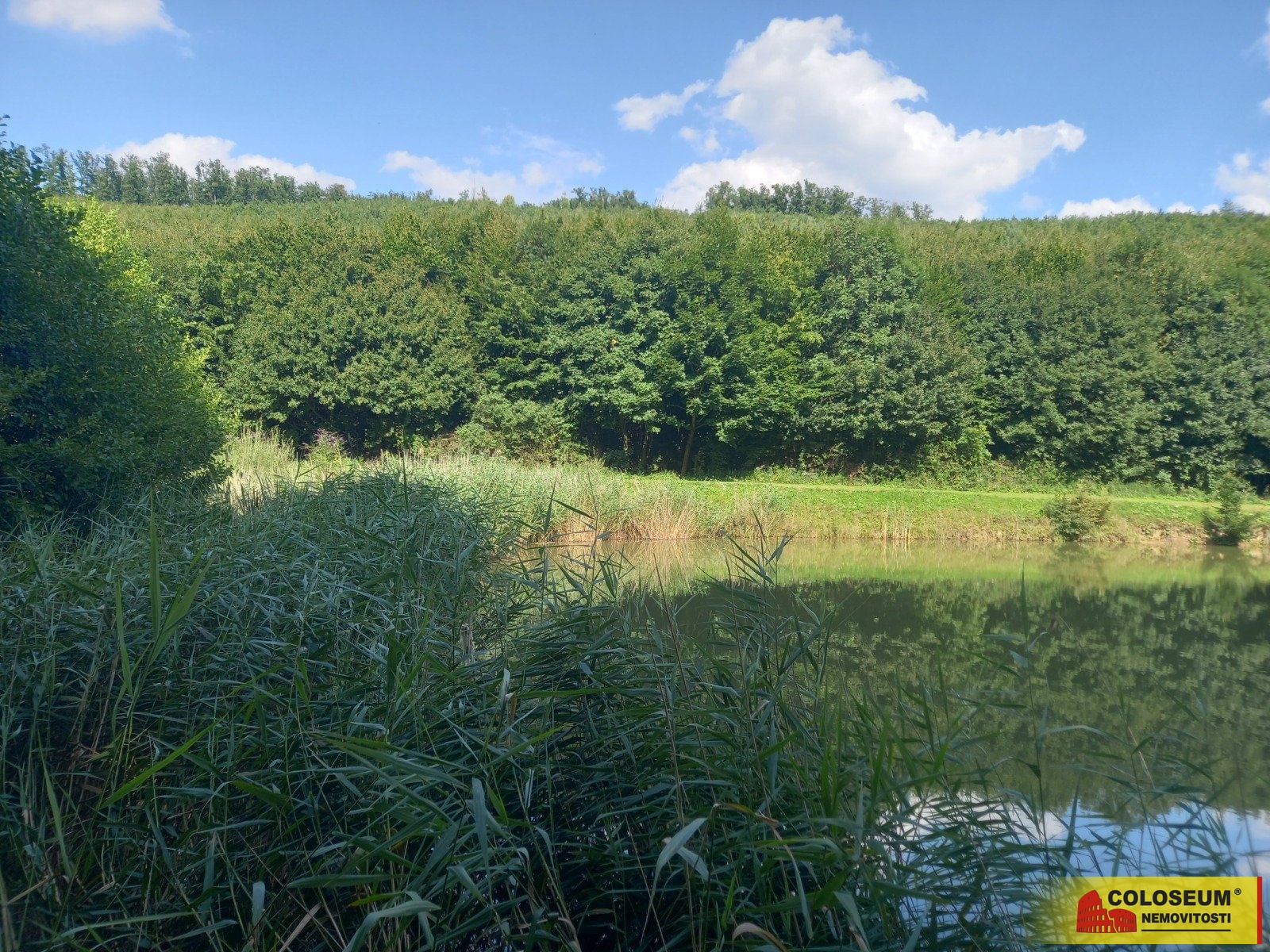 Okolí pozemku - Lovčice - prodej pozemku
