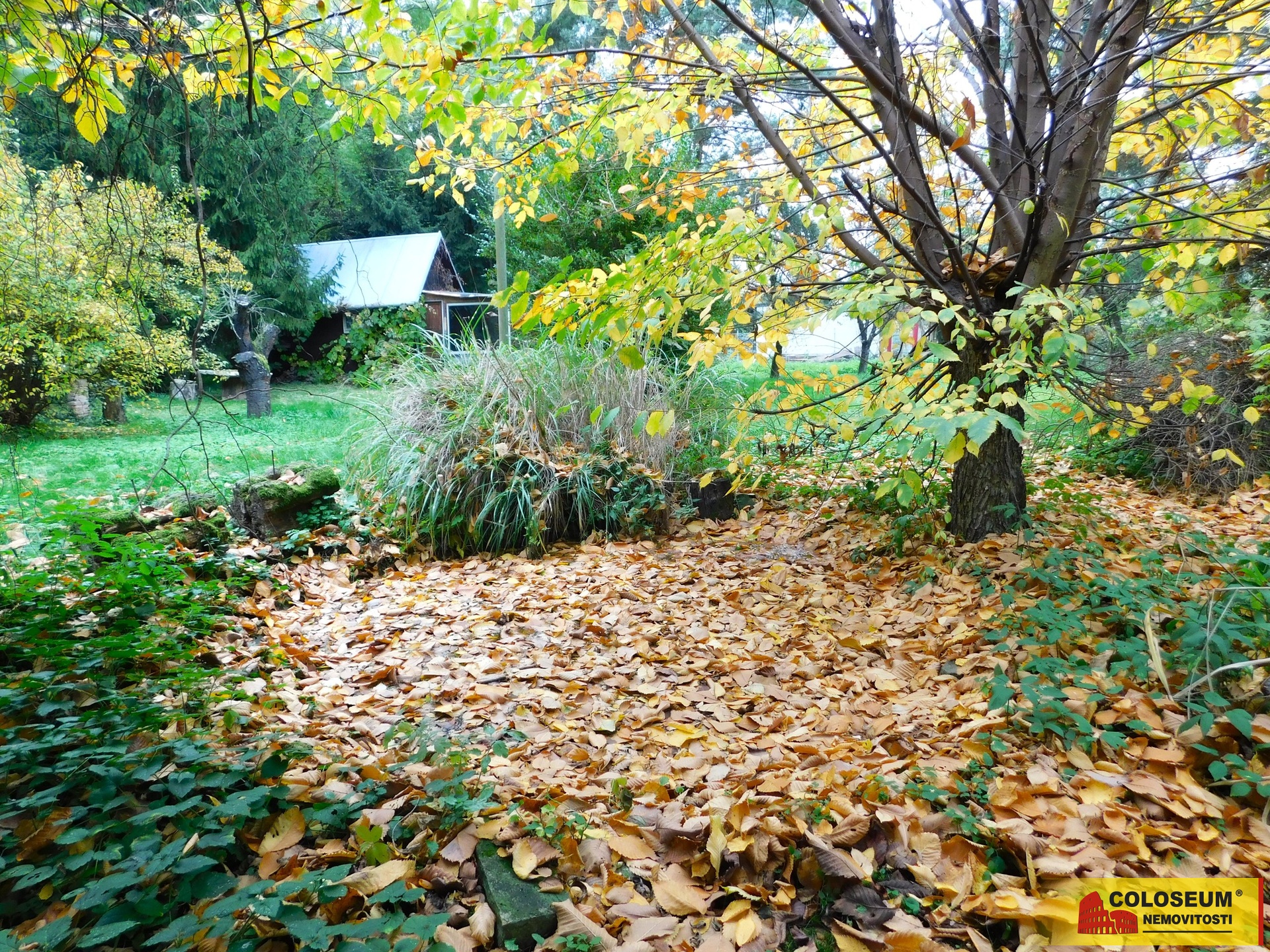 Zahrada – Dyje – prodej pozemku