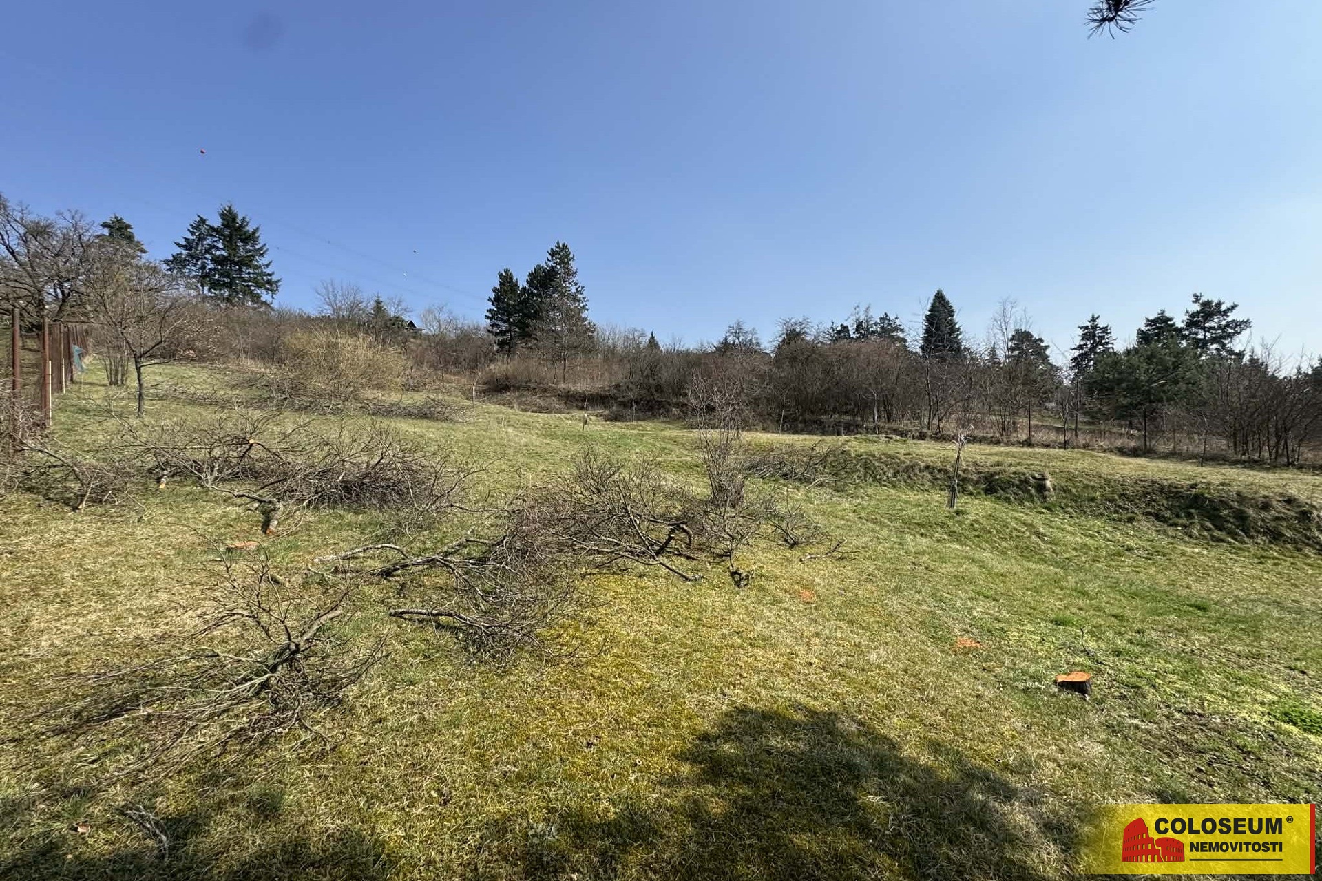 Velký pozemek s investičním potenciálem - Popůvky u Brna - prodej pozemku 