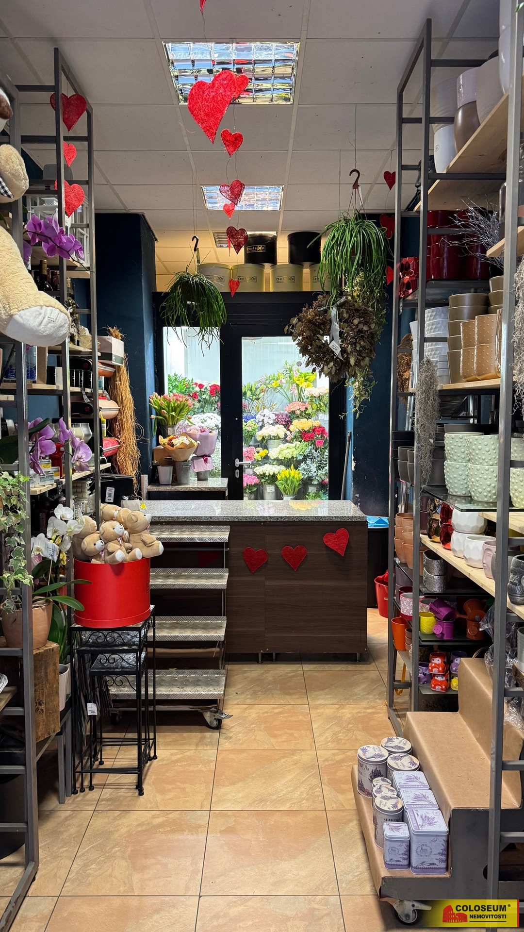 pohled do ulice - Brno - pronájem komerce