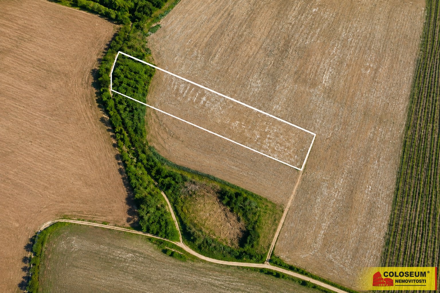 Letecký snímek – Dyje – prodej pozemku