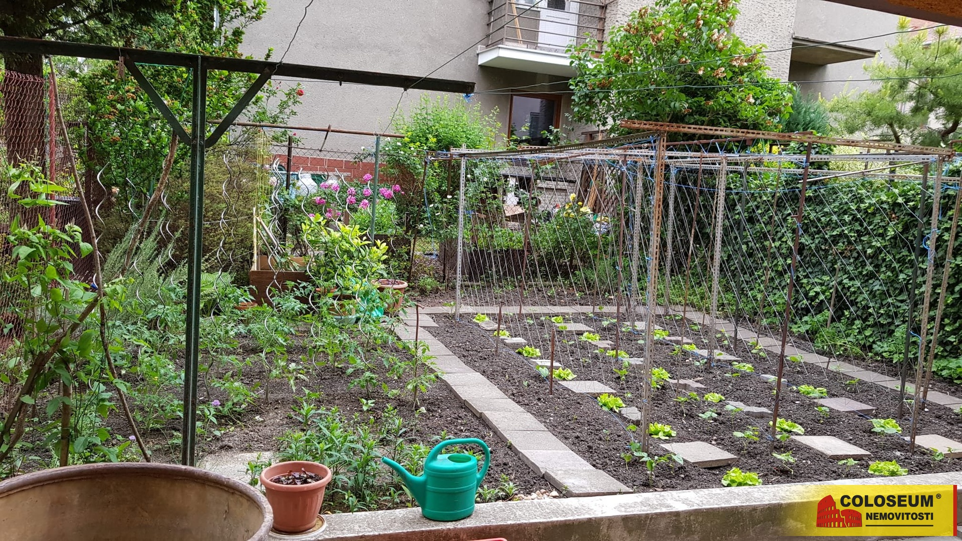 Zahrada – Brno – Černá Pole – pronájem bytu