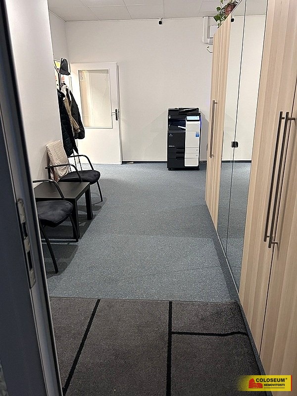 Vstup - Brno - město - pronájem komerce