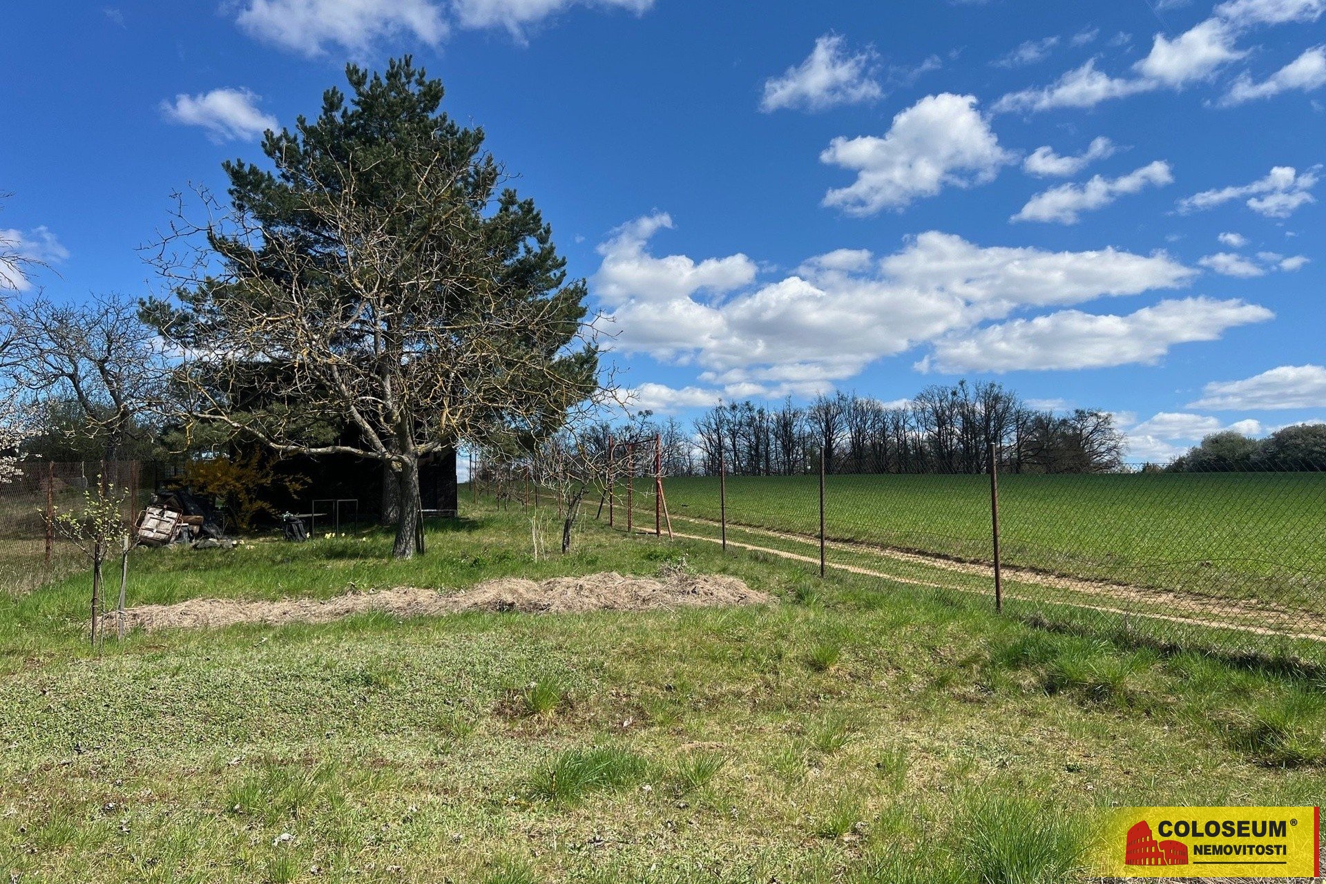 Dostatek místa na pěstování - Ostopovice - prodej 