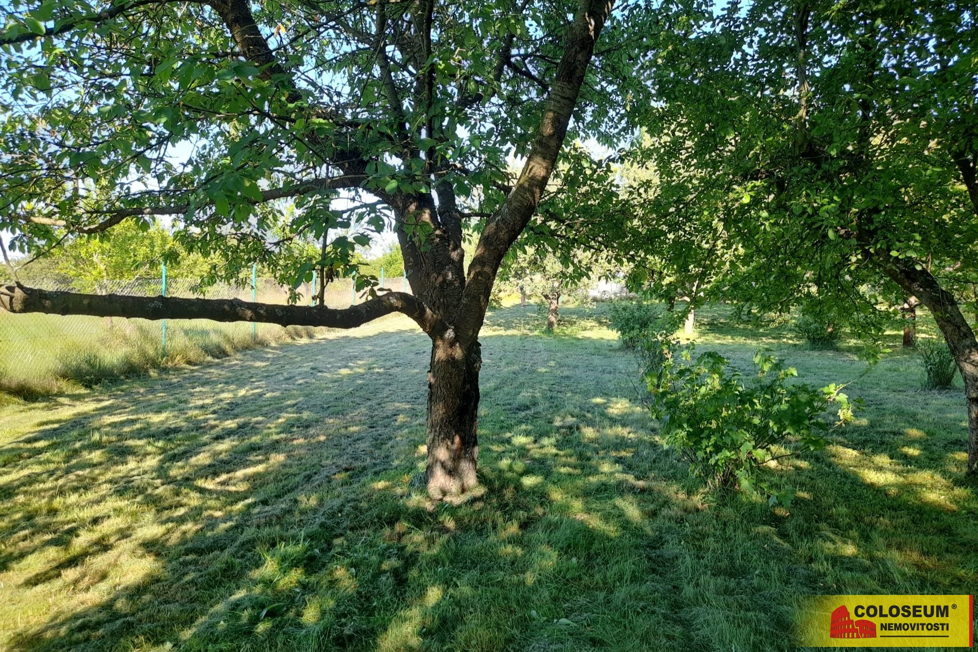 Zahrada – Vilémovice u  Macochy – pronájem zahrady