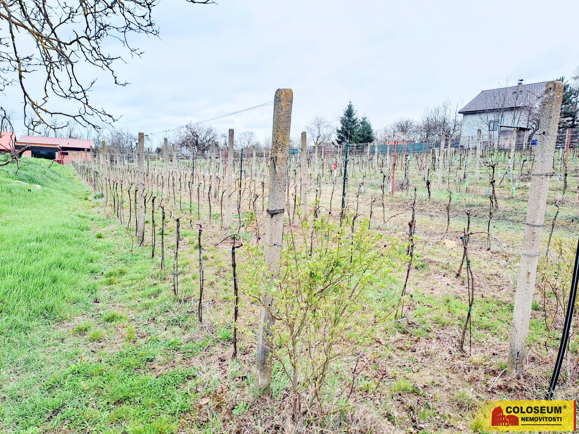 Celkový pohled - Sedlešovice - prodej pozemku
