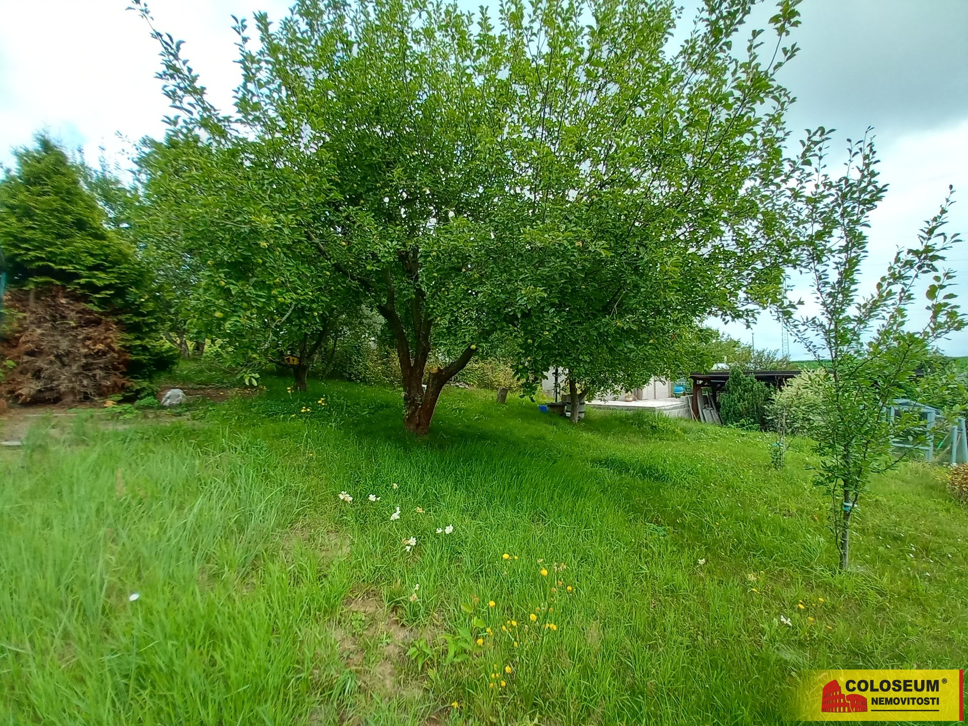 Zahrada – Moravská Třebová – prodej zahrady