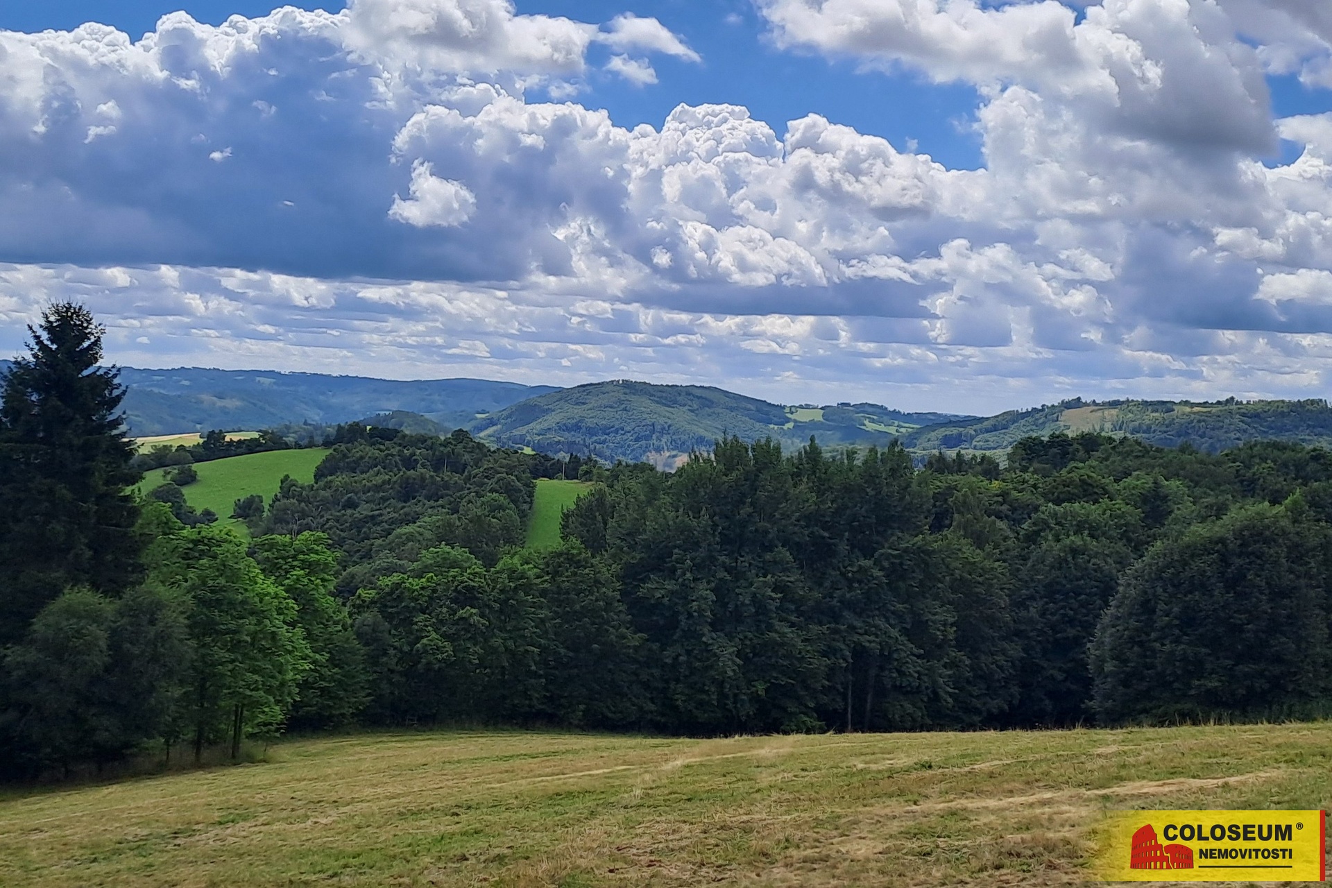 Pohled na les – Dalečín - Hluboké – prodej pozemku