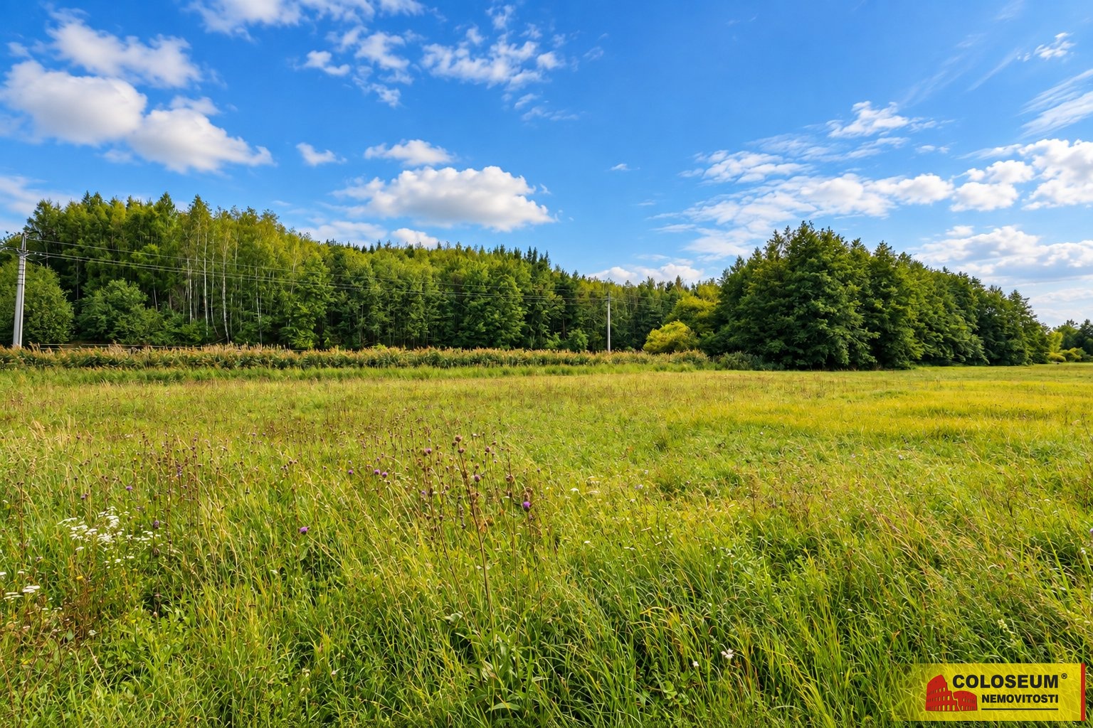 Pozemek - Hostěnice - prodej pozemku