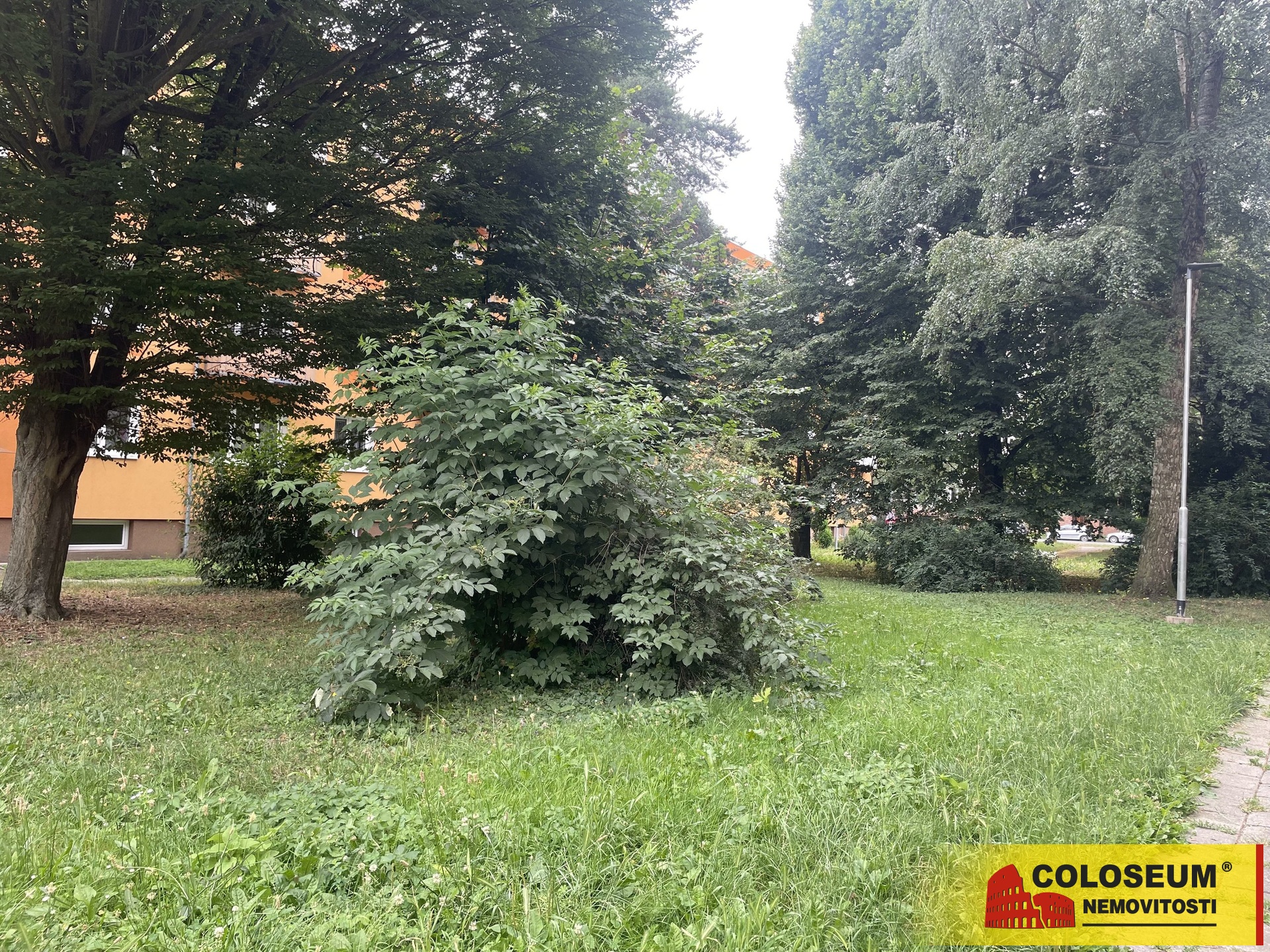 Pohled z ulice - Olomouc - prodej pozemku