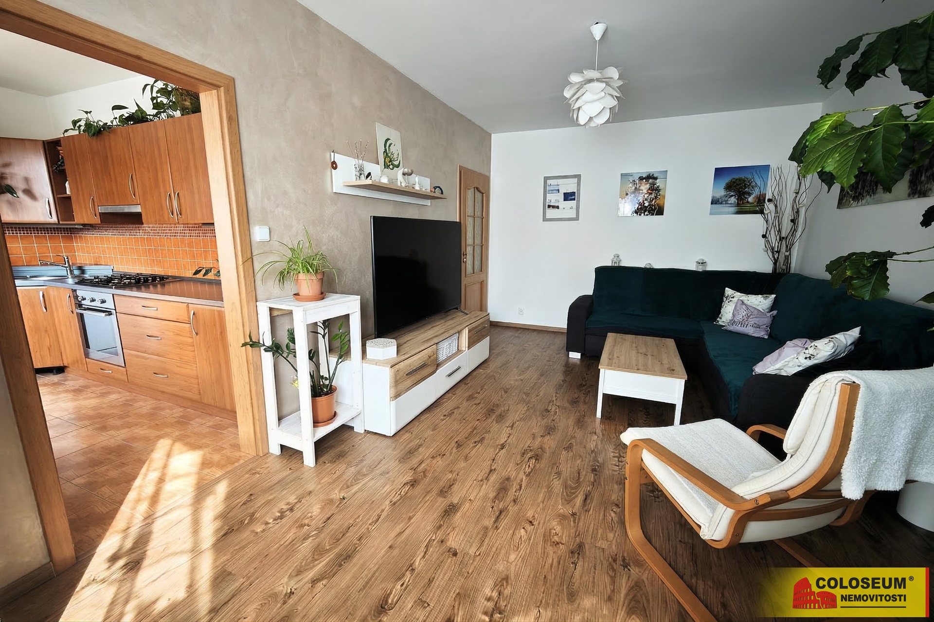 Obývací pokoj a vstup do kuchyně - Brno - Řečkovice - prodej bytu 2+1