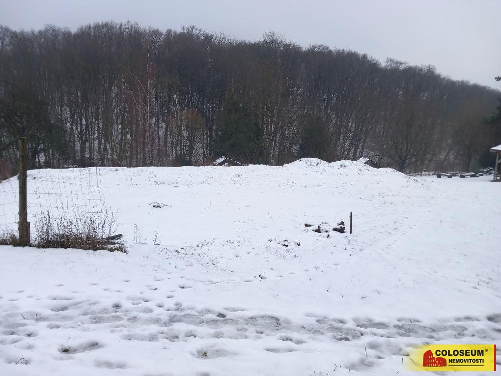 Pohled z pozemku do údolí - Braníškov - prodej poz