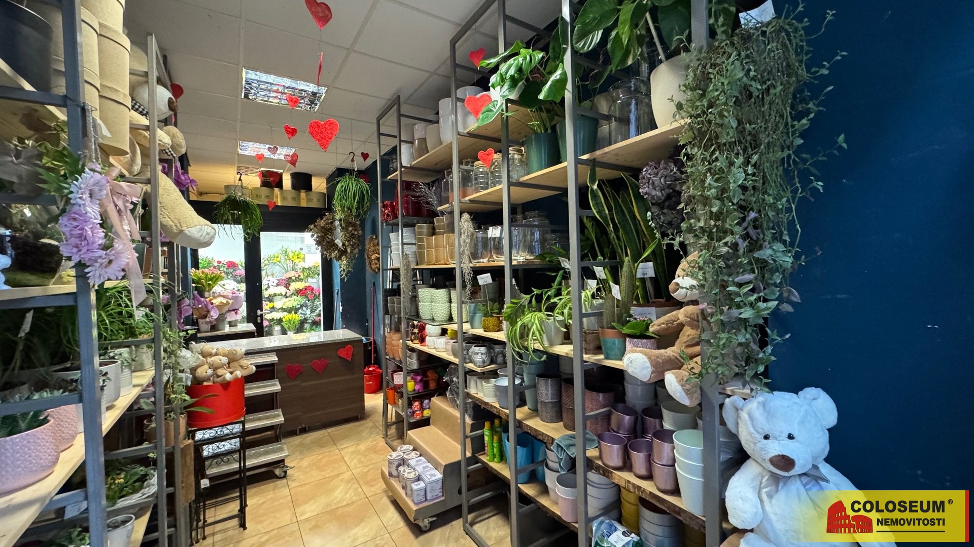 pohled v obchodě - Brno - pronájem komerce