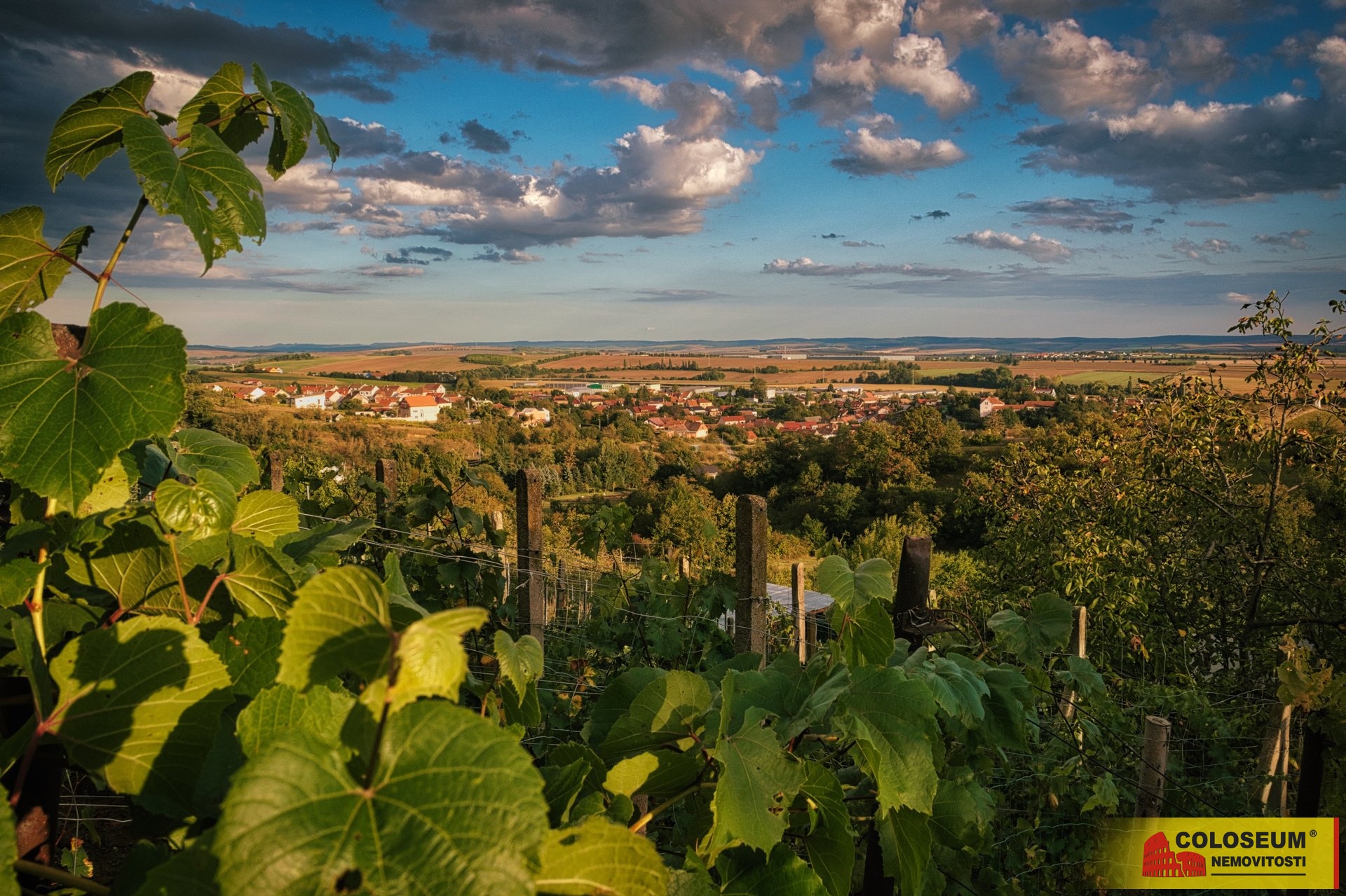 Výhled z pozemku - Sivice - prodej pozemku
