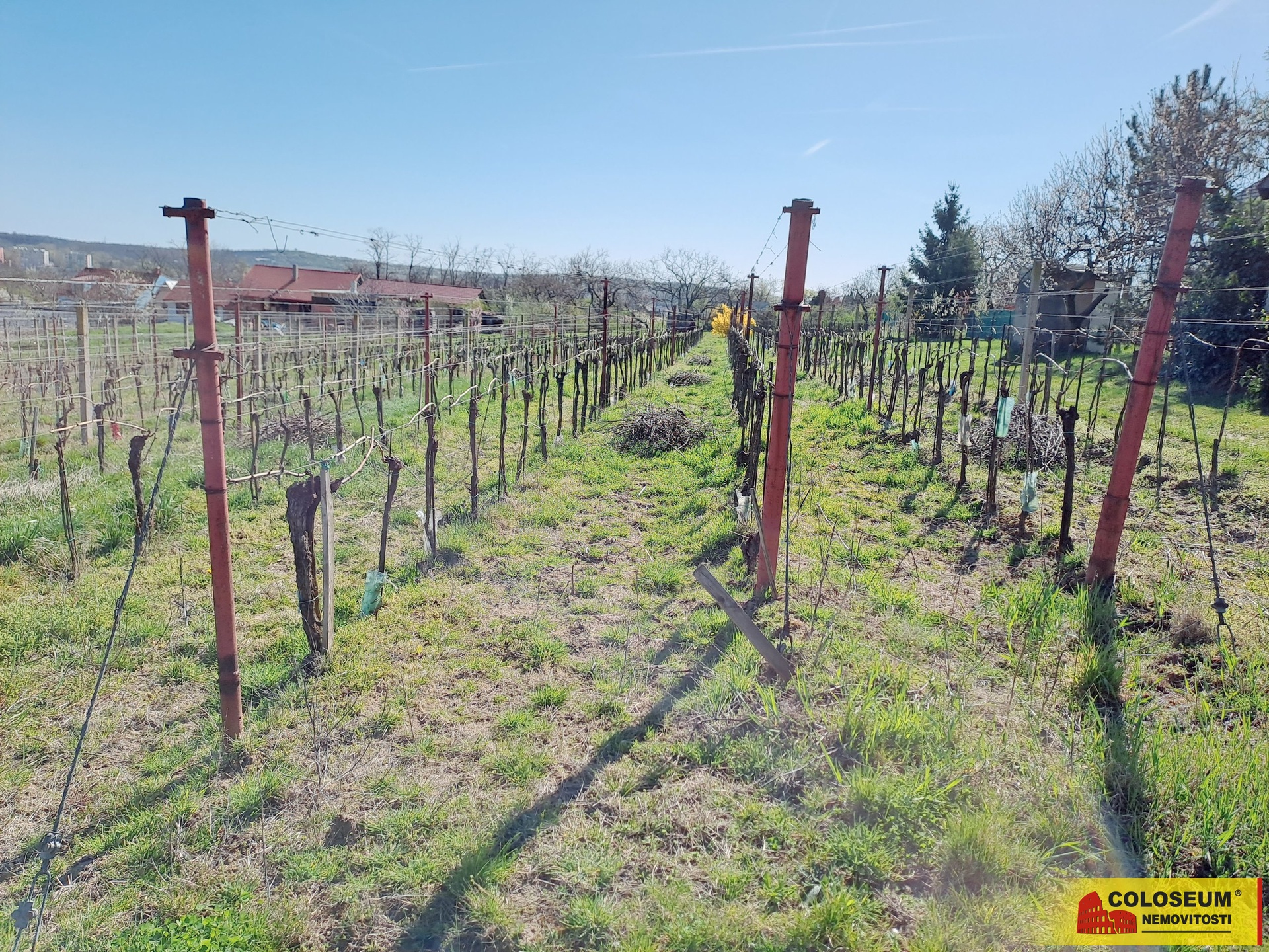 Celkový pohled - Sedlešovice - prodej pozemku